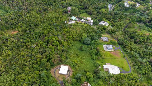 BO BORINQUEN CARR. 763, Caguas, PR 00725