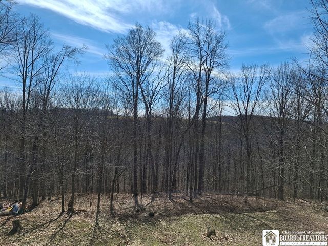 6098 Shady Lane, Lyndon, NY 14737