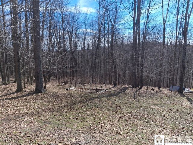 6098 Shady Lane, Lyndon, NY 14737