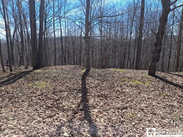 6098 Shady Lane, Lyndon, NY 14737