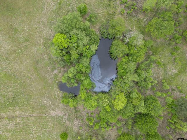 401 County road 3114, Quitman, TX 75783