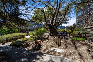 101 Shell Drive 3, Watsonville, CA 95076