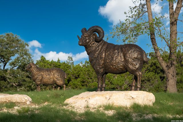 302 LAUGHING DOG, Boerne, TX 78006