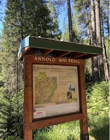 3035 Dalmatia Drive, Arnold, CA 95223