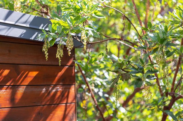 577 El Dorado Ave, Oakland, CA 94611