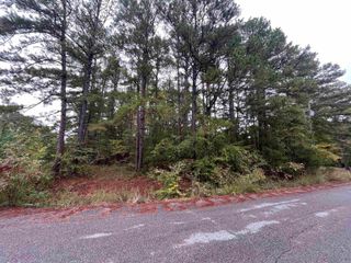 000 Redbud St., Higden, AR 72067
