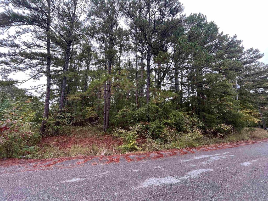 000 Redbud St., Higden, AR 72067