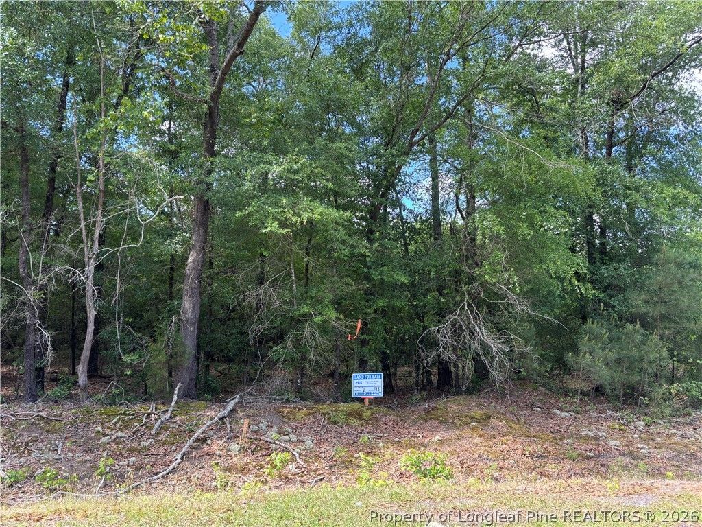 Johnson - (Lot J) Road, Fayetteville, NC 28312 — exterior