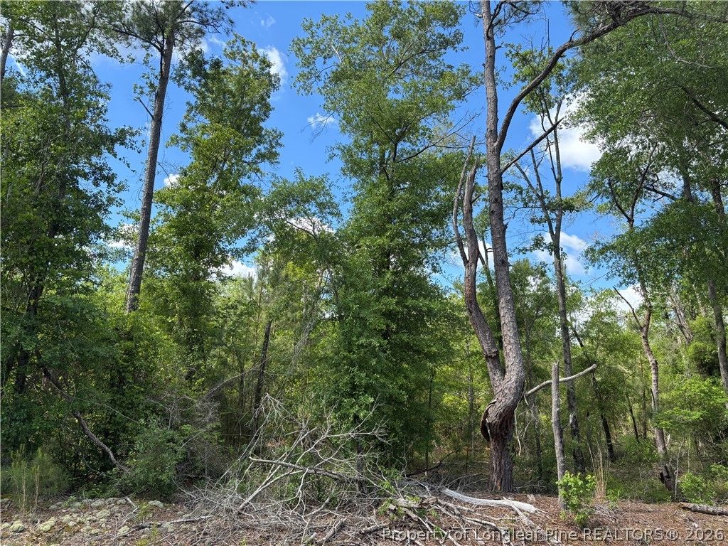 Johnson - (Lot J) Road, Fayetteville, NC 28312 — photo 2