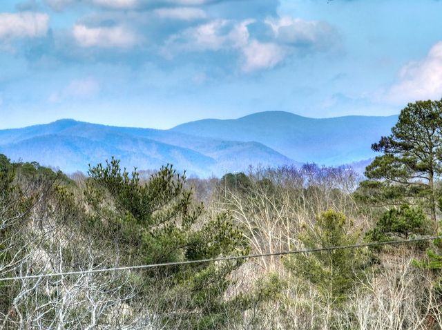 171 Mohawk Trail, Ellijay, GA 30540