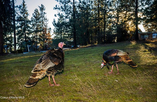 NNA Fernan Hill Rd., Coeur D'alene, ID 83814