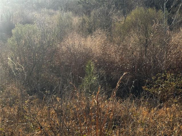 0 Moonshine Hill Road, Houston, TX 77338