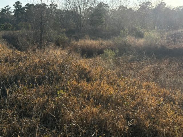 0 Moonshine Hill Road, Houston, TX 77338