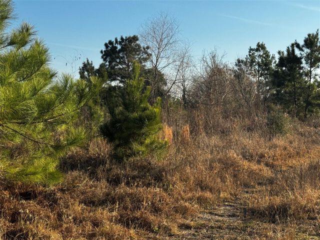 0 Moonshine Hill Road, Houston, TX 77338