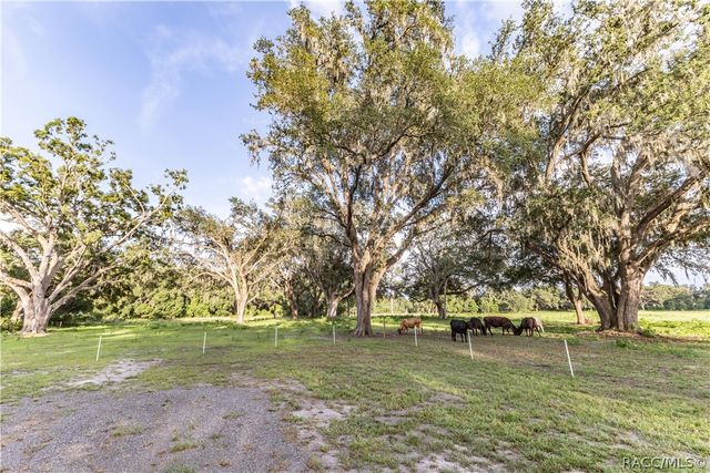 12523 CR721 Road, Webster, FL 33597