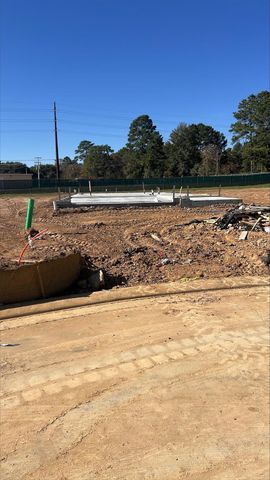 213 Elm Spring Drive, Hockley, TX 77447