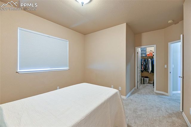 9539 Lizard Rock Trail, Colorado Springs, CO 80924