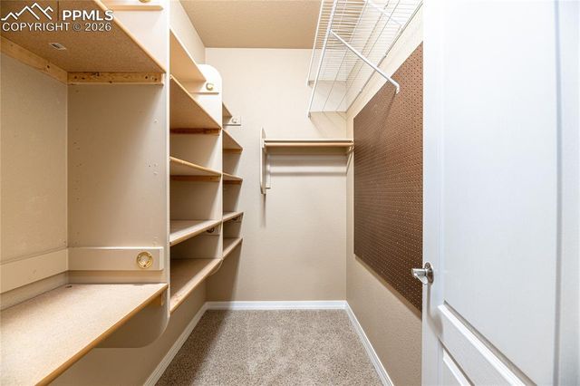 9539 Lizard Rock Trail, Colorado Springs, CO 80924