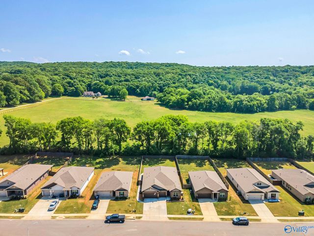 460 Jackson Point Circle, Huntsville, AL 35811