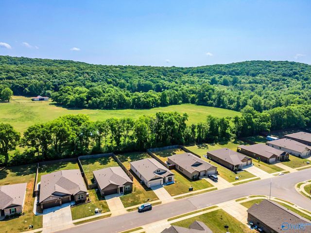 460 Jackson Point Circle, Huntsville, AL 35811