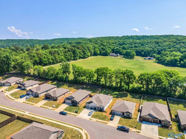 460 Jackson Point Circle, Huntsville, AL 35811