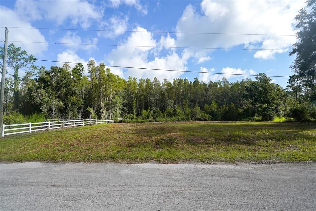 26305 BLUESTRIPE DRIVE, Wesley Chapel, FL 33544