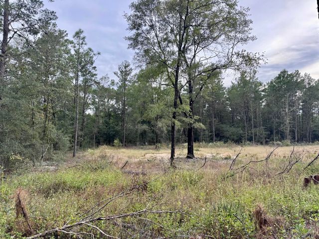 3 lots E Dogwood Avenue, Defuniak Springs, FL 32433