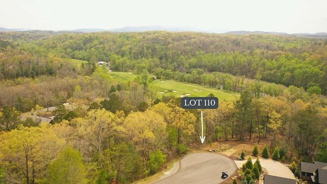 Lot 110 Fawn Way, Mineral Bluff, GA 30559