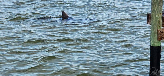 825 Bayshore Dr 1203, Pensacola, FL 32507