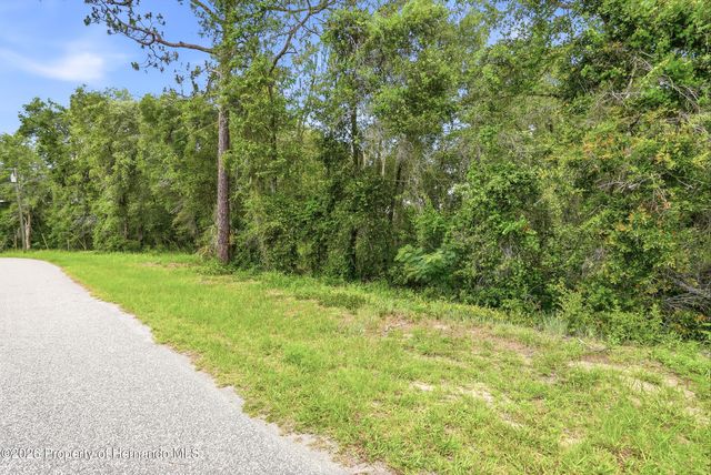 7002 N Castlebury Road, Hernando, FL 34442