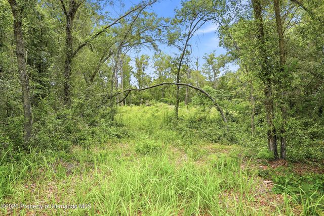 7002 N Castlebury Road, Hernando, FL 34442