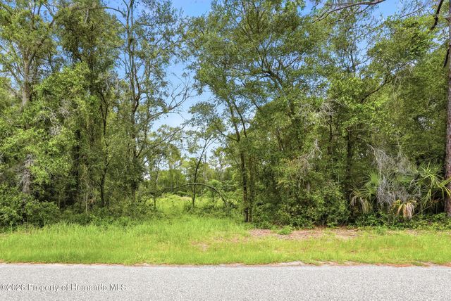 7002 N Castlebury Road, Hernando, FL 34442