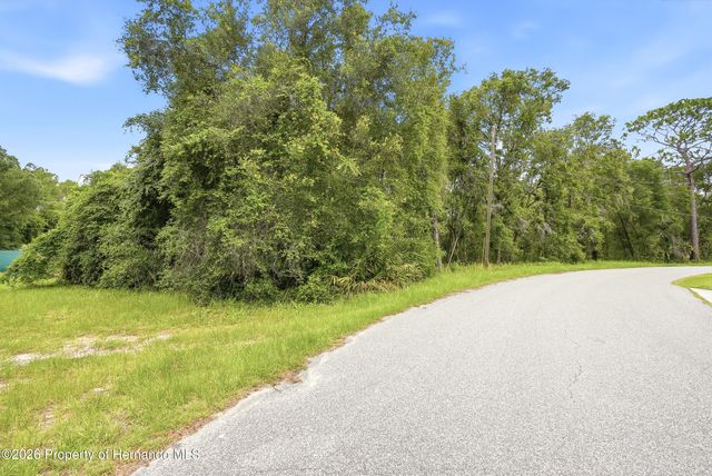 7002 N Castlebury Road, Hernando, FL 34442