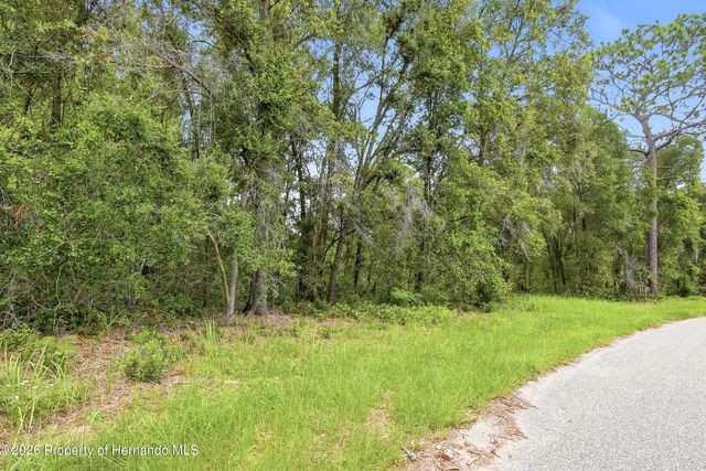 7002 N Castlebury Road, Hernando, FL 34442