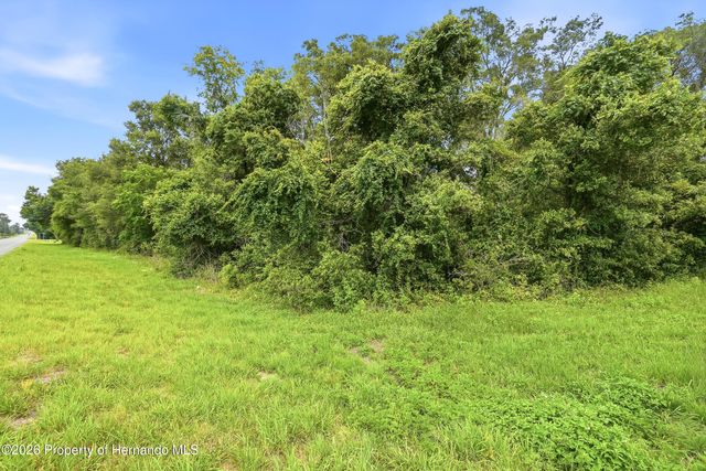 7002 N Castlebury Road, Hernando, FL 34442