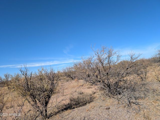 9701 E Adams Trail -- 5, Hereford, AZ 85615