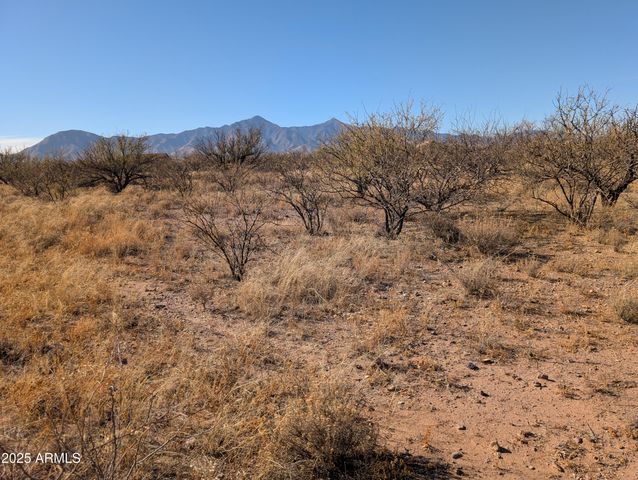 9701 E Adams Trail -- 5, Hereford, AZ 85615