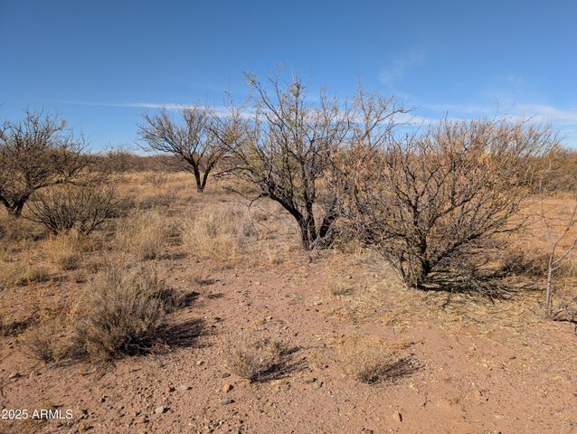 9701 E Adams Trail -- 5, Hereford, AZ 85615