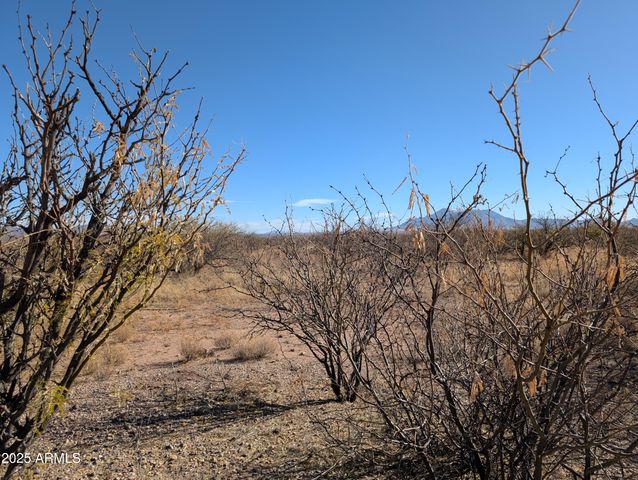 9701 E Adams Trail -- 5, Hereford, AZ 85615