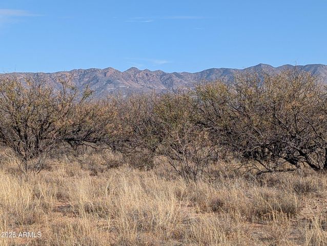 9701 E Adams Trail -- 5, Hereford, AZ 85615