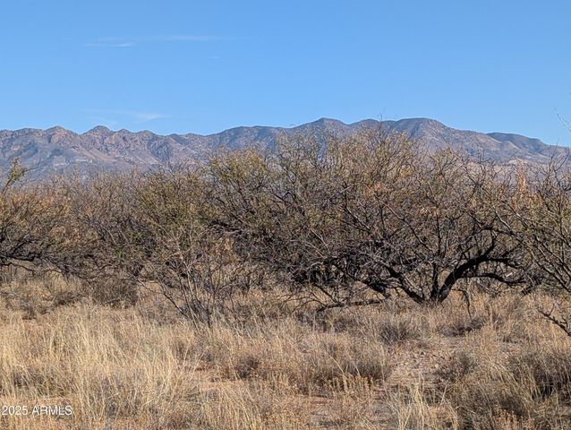 9701 E Adams Trail -- 5, Hereford, AZ 85615