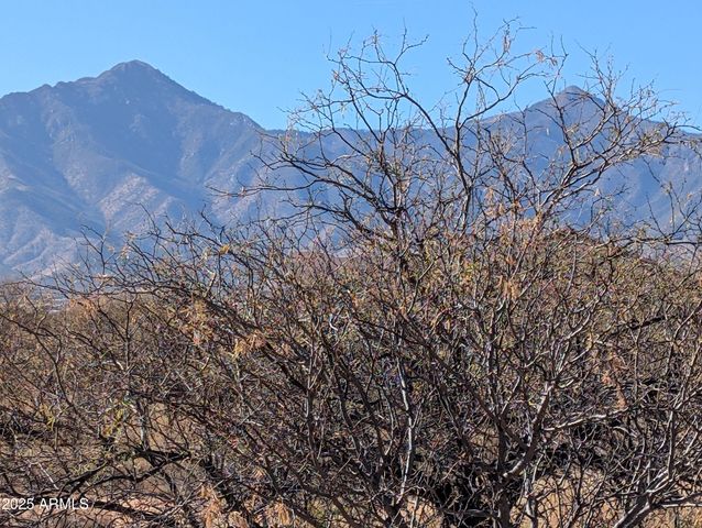 9701 E Adams Trail -- 5, Hereford, AZ 85615