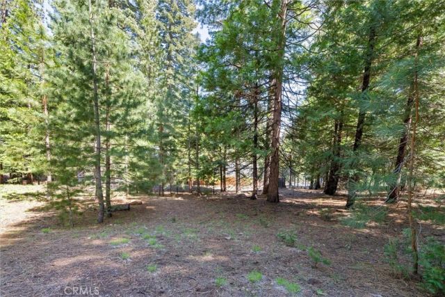 910 Clifford Drive, Almanor, CA 96137