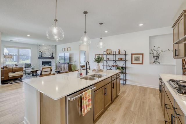 20252 Marsh Court, Maple Grove, MN 55311