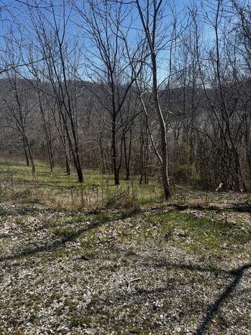 0 Dakota Ln, Smithville, TN 37166