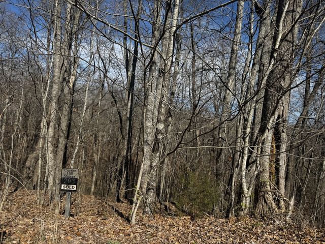 0 Dakota Ln, Smithville, TN 37166