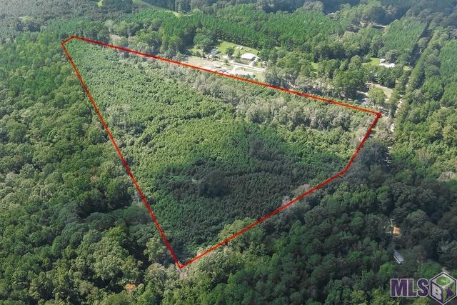 29.22 acres Battle Rd, Ethel, LA 70730