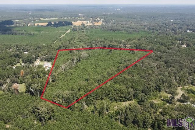 29.22 acres Battle Rd, Ethel, LA 70730