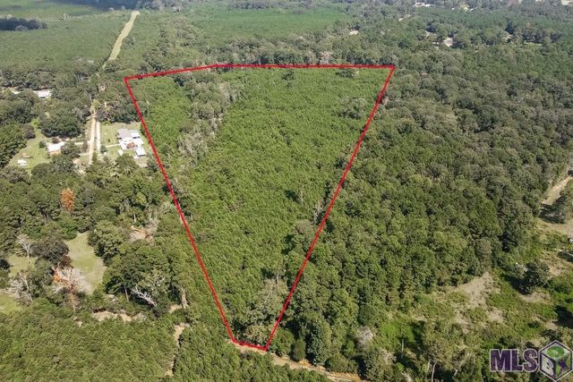 29.22 acres Battle Rd, Ethel, LA 70730