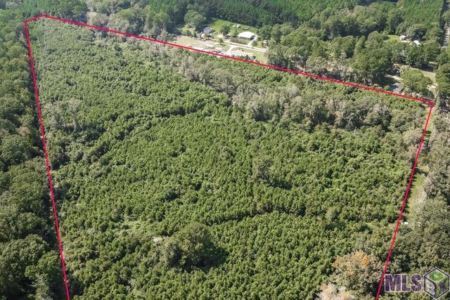 29.22 acres Battle Rd, Ethel, LA 70730